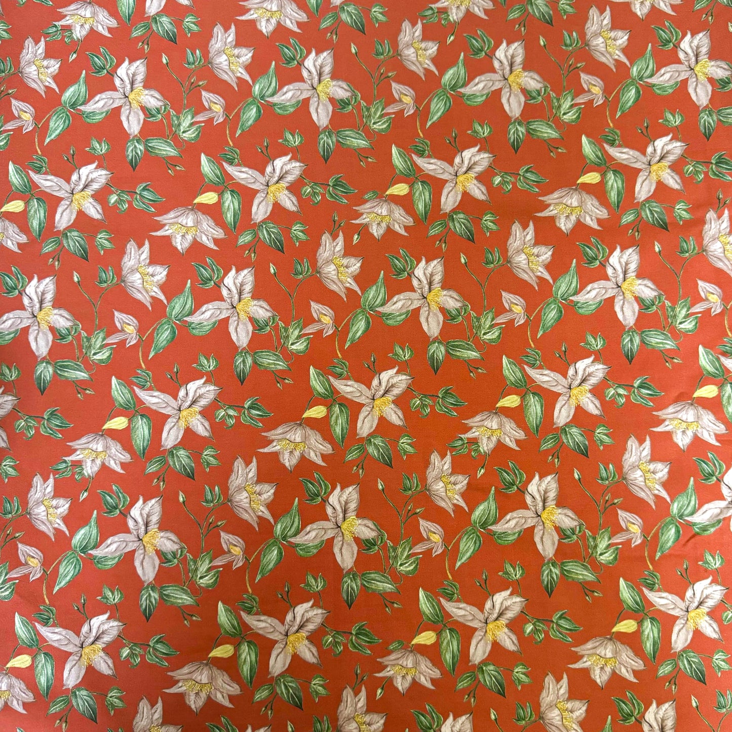 Combed Cotton Elvina - CLP 327