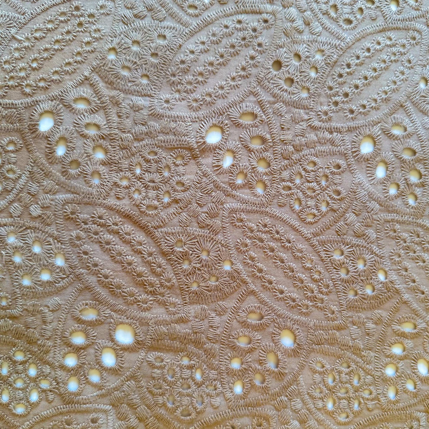 Cotton Poly Paisley Eyelet Embroidery Champrelle - GT 2245