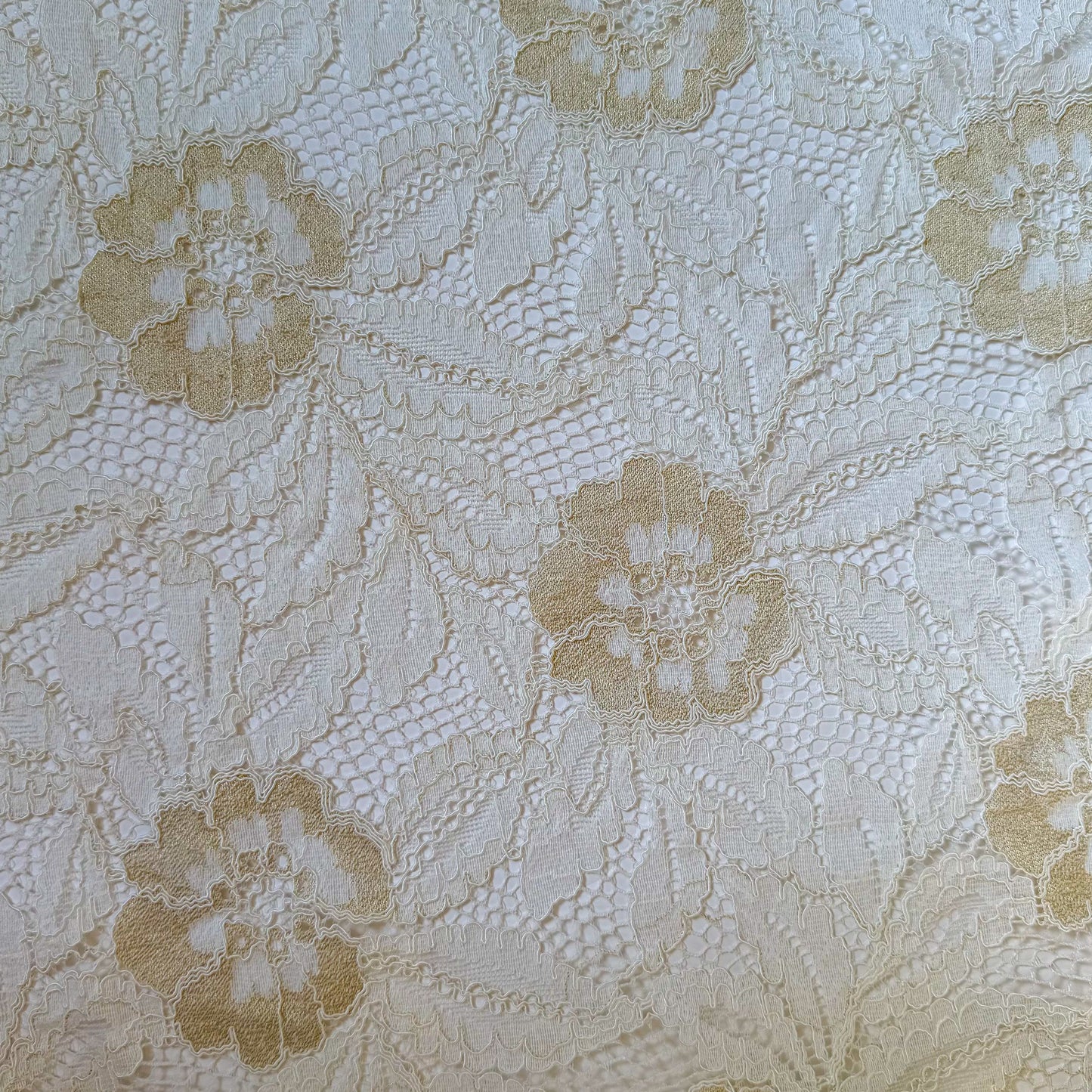 100% Polyester Lace Lacemere - GT 2246